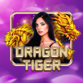 phdream Dragon Tiger live